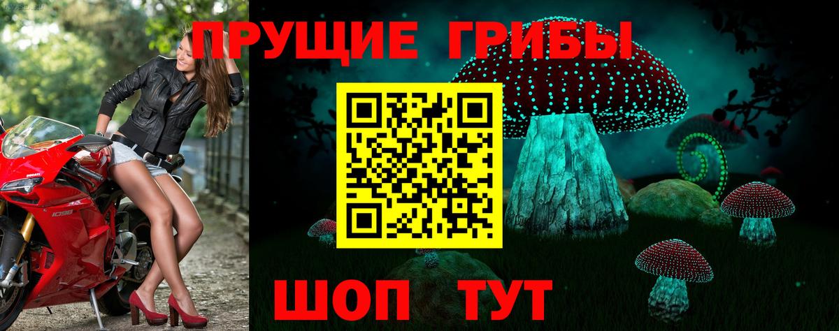Псилоцибиновые грибы мицелий Среднеуральск